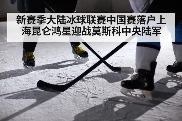 ice hockey player action