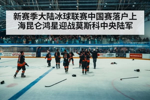 ice hockey arena fans
