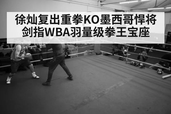 boxer training gym